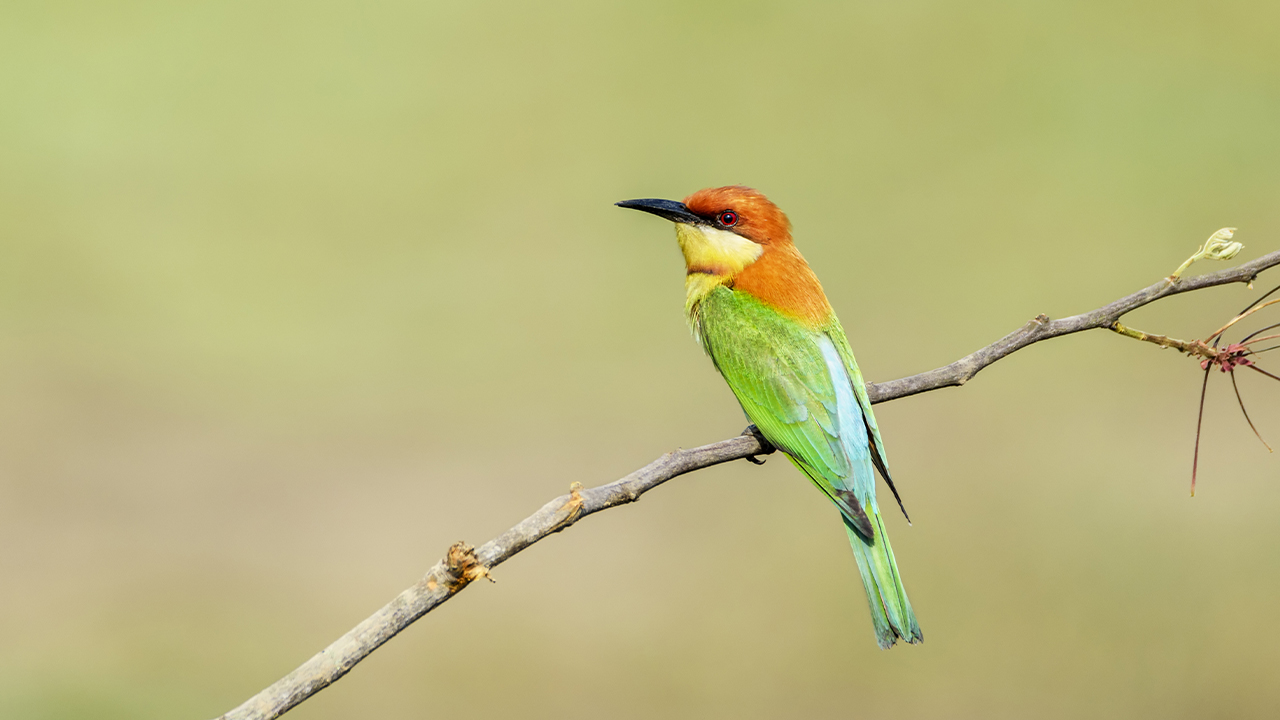 diem-tua-trong-cac-quyet-dinh-dau-tu-cua-ban-la-gi-dau-tu-tue-trading