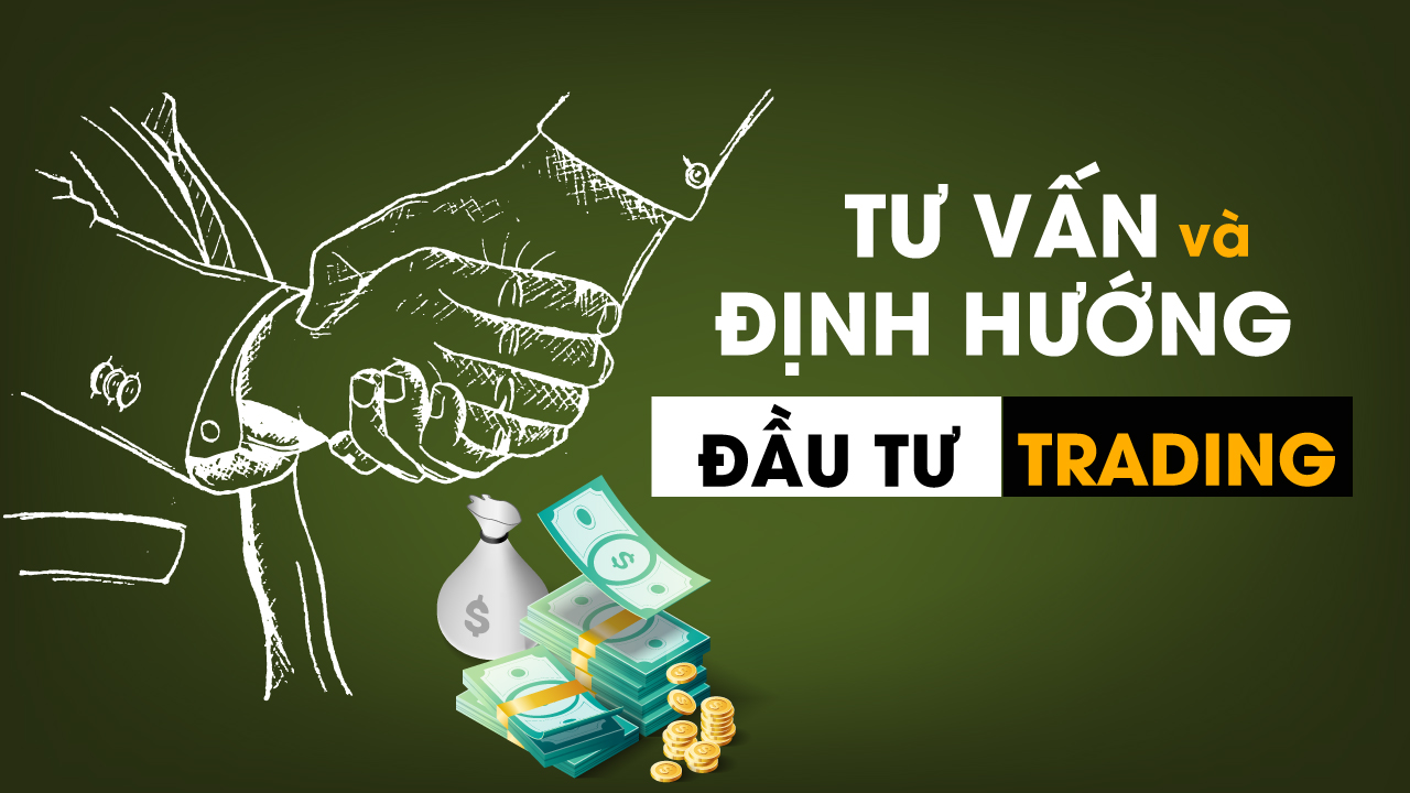 tu-van-dau-tu